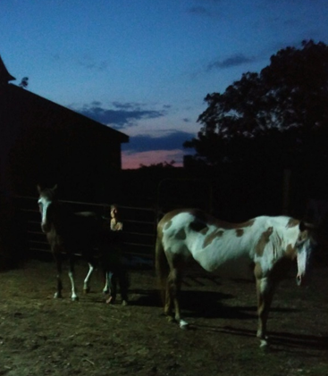 Horse Therapy – Living Without Defenses